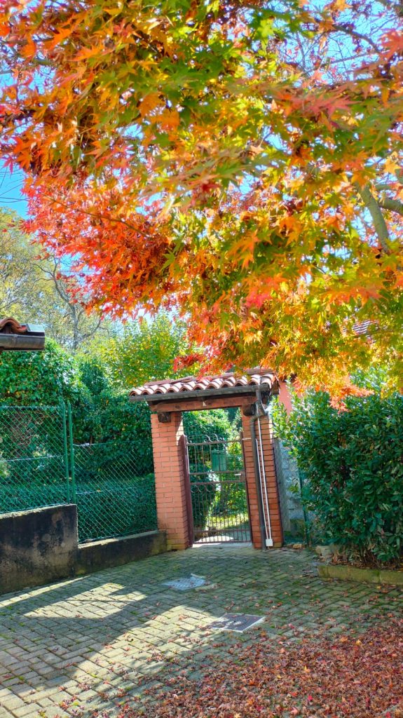 Casa vacanza La Frisa biella tavigliano esterno cancello